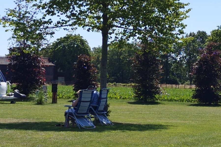 Twee kampeerstoelen in de schaduw van een grote lindeboom op een zonnig, rustig kampeerveld